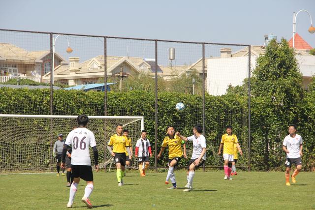 崔永熙出场篮网负尼克斯 无约掘金不敌无莫熊